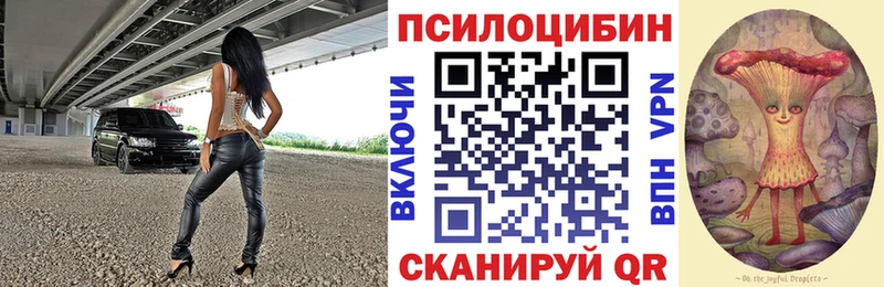Псилоцибиновые грибы Psilocybe Ржев